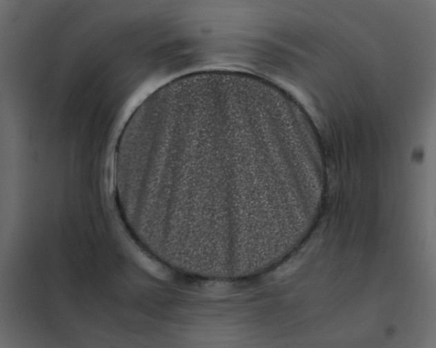 X0000101991371200808081624