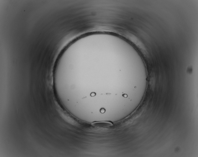 X0000101991372200808081624