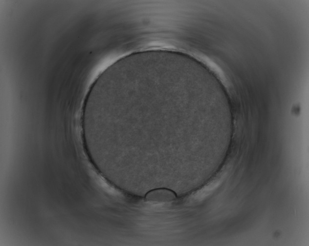 X0000101991373200808081624