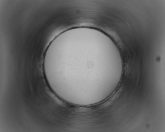 X0000101991374200808081624