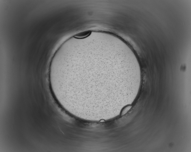 X0000101991375200808081624