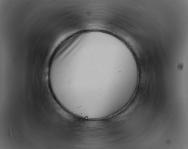 X0000101991376200808081624