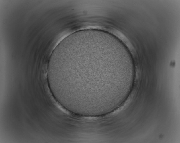 X0000101991377200808081624