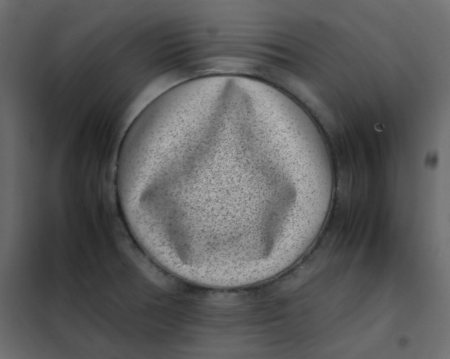 X0000101991378200808081624