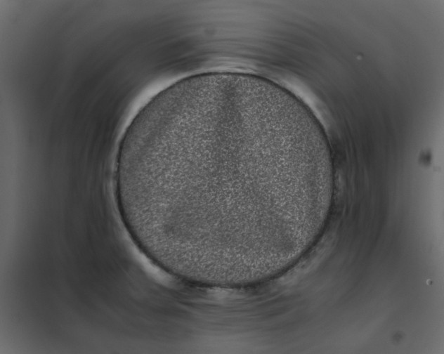 X0000101991379200808081624