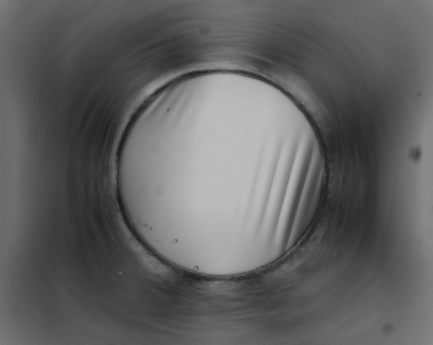 X0000101991380200808081624