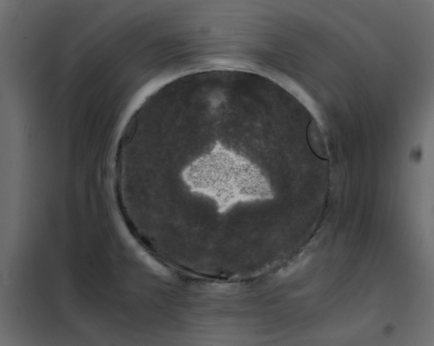 X0000101991381200808081624