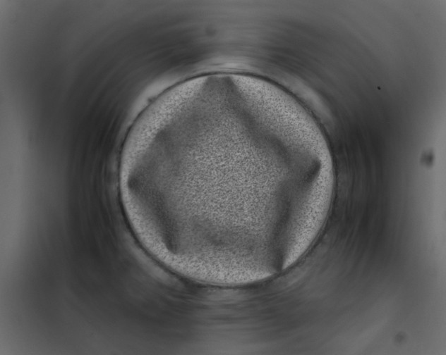 X0000101991382200808081624