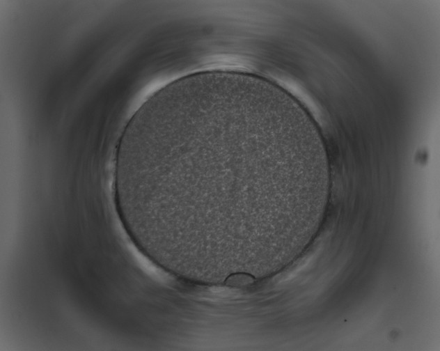 X0000101991383200808081623