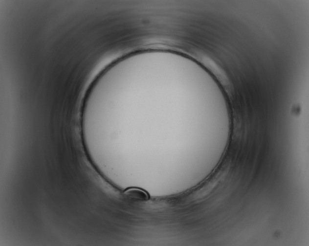 X0000101991384200808081623