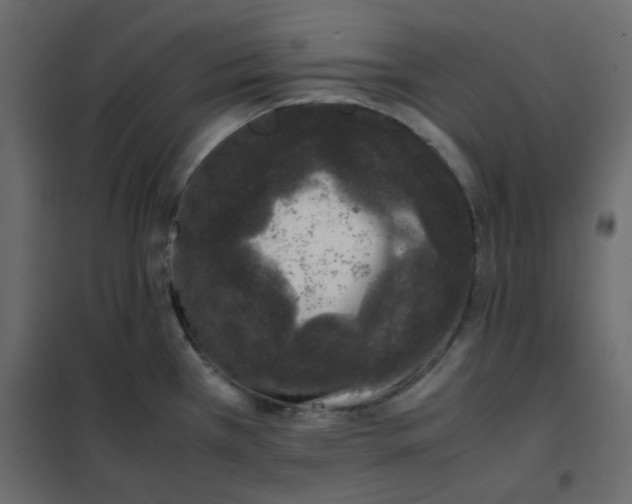 X0000101991385200808081623