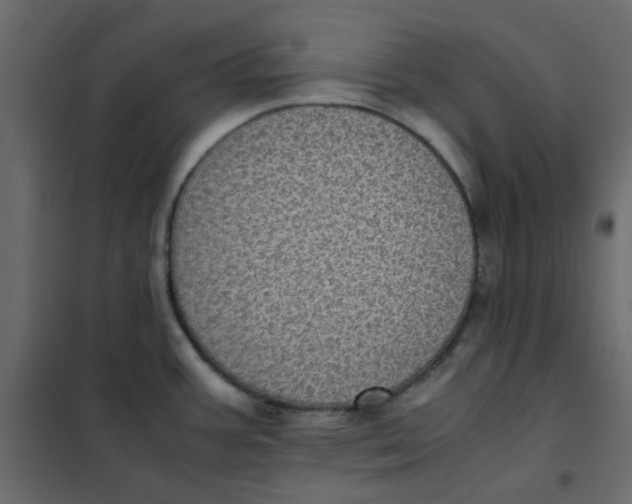 X0000101991387200808081623