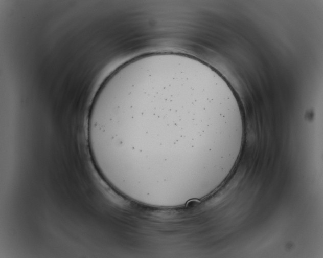 X0000101991388200808081623