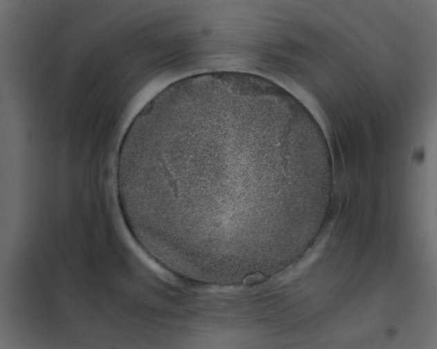 X0000101991389200808081623