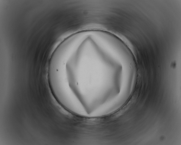 X0000101991390200808081623