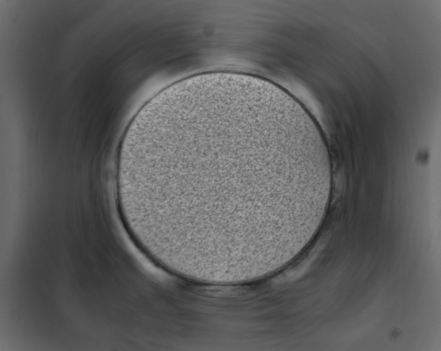 X0000101991391200808081623