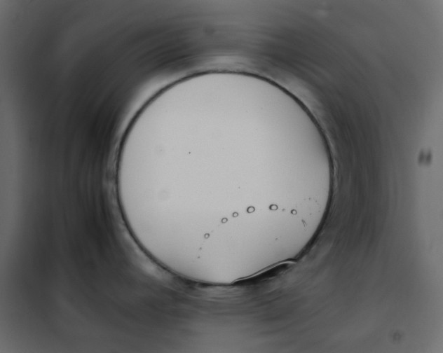 X0000101991392200808081623