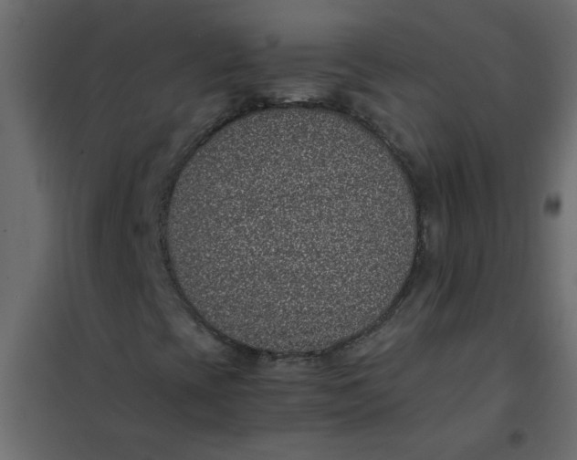 X0000101991393200808081623