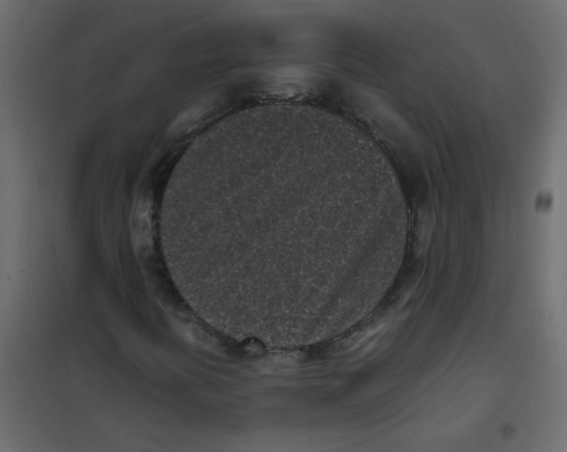 X0000101991394200808081623