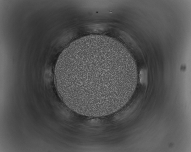 X0000101991395200808081623