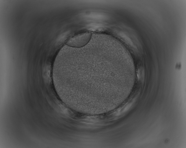 X0000101991396200808081623