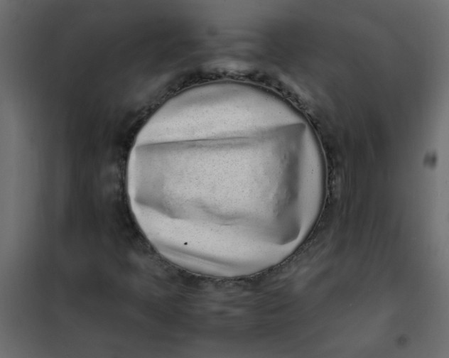 X0000101991397200808081623