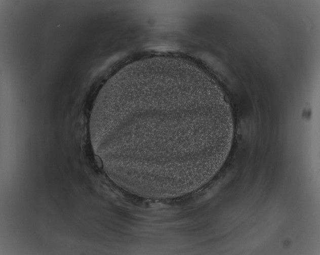 X0000101991398200808081623