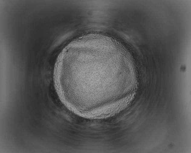 X0000101991399200808081623