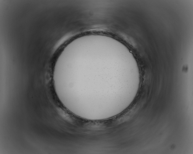 X0000101991400200808081623