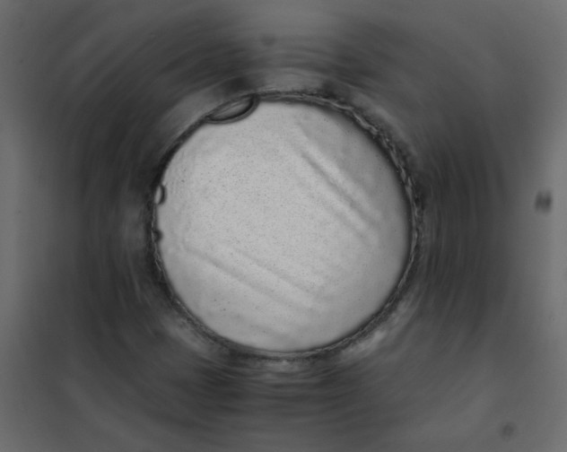 X0000101991401200808081623