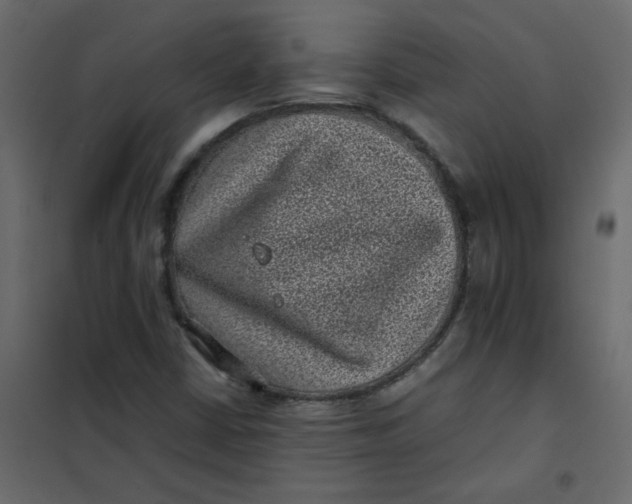 X0000101991402200808081623