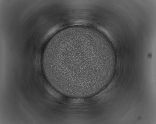 X0000101991403200808081623