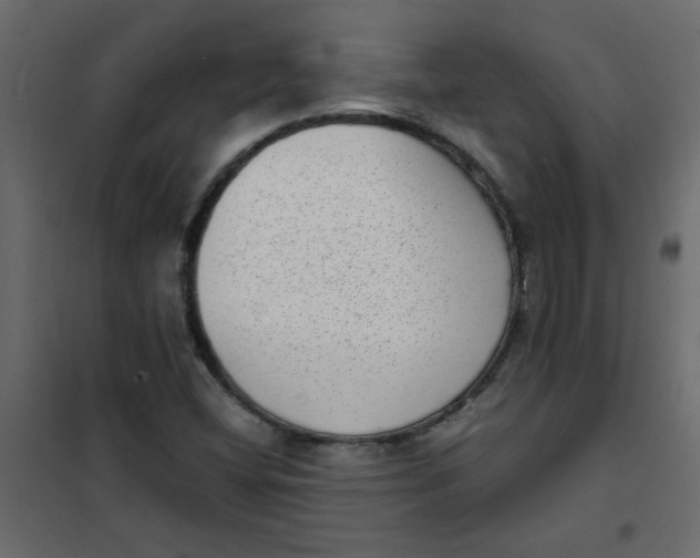 X0000101991404200808081623