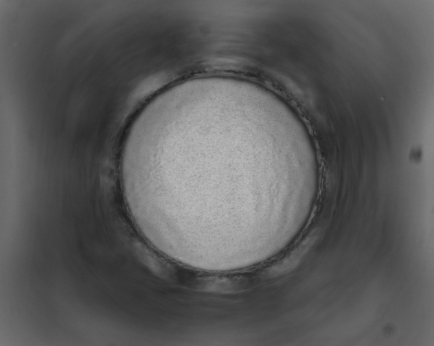 X0000101991405200808081623