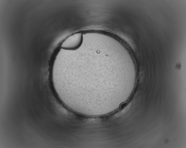 X0000101991406200808081623