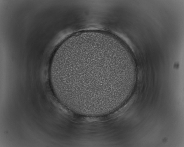 X0000101991407200808081623