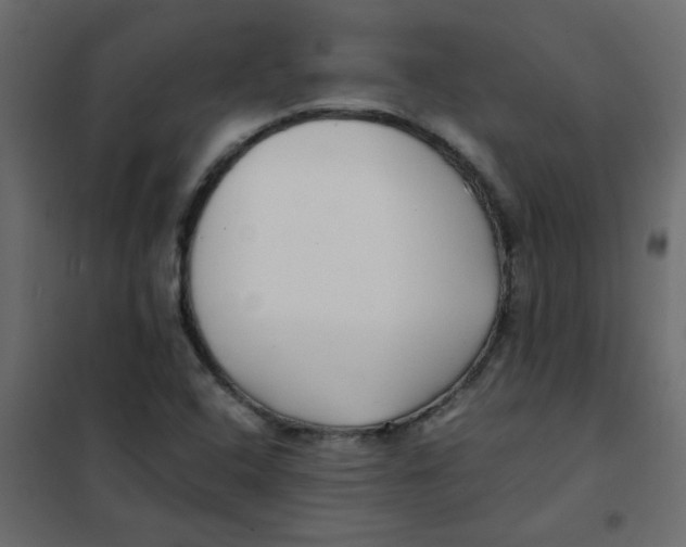 X0000101991408200808081623