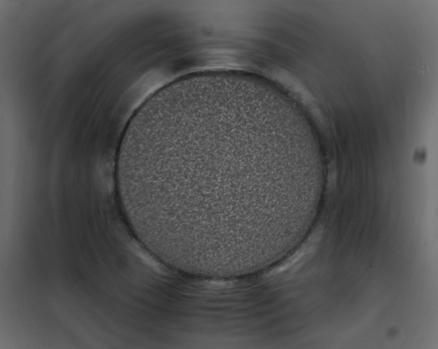 X0000101991409200808081623