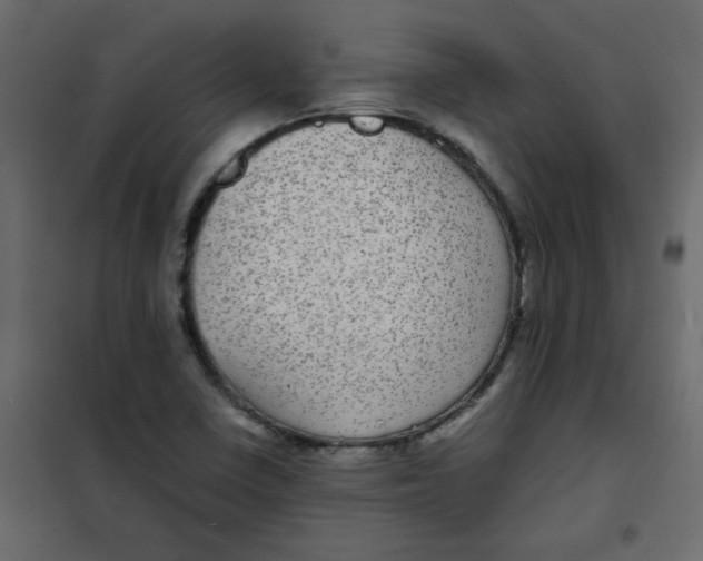 X0000101991410200808081623