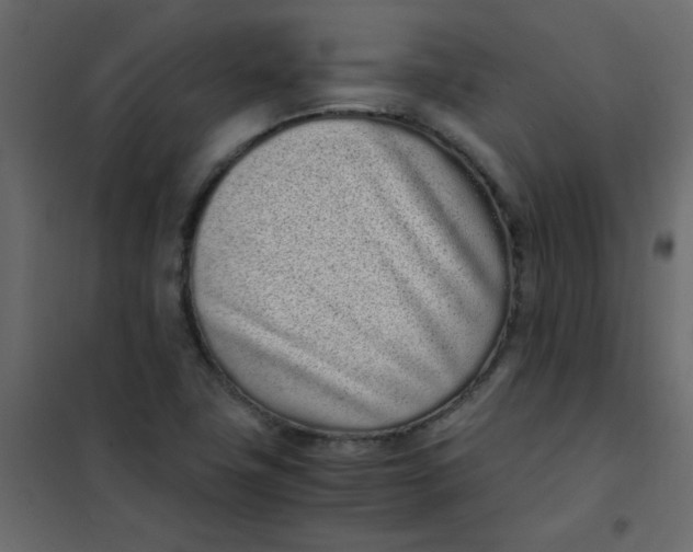 X0000101991411200808081623