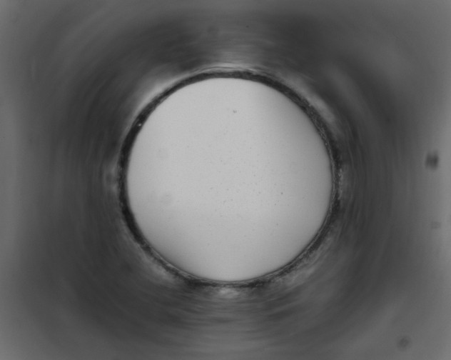 X0000101991412200808081623