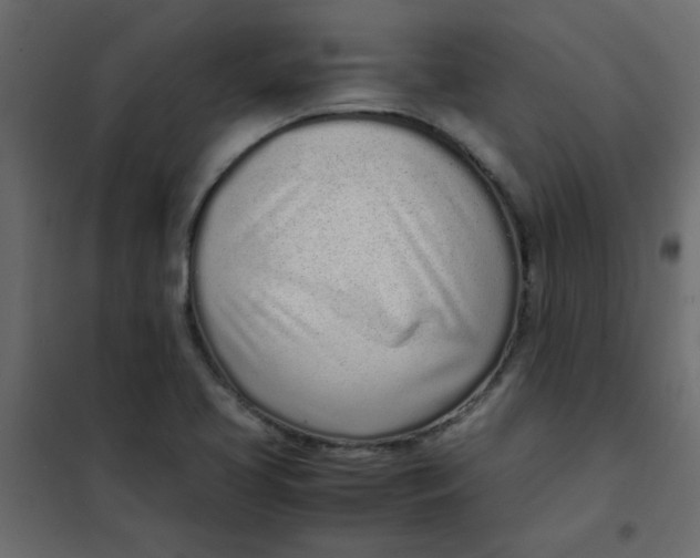 X0000101991413200808081623