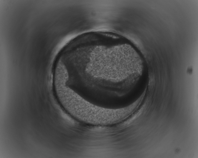 X0000101991414200808081623