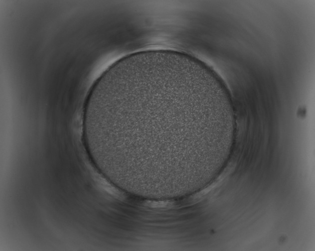 X0000101991415200808081623