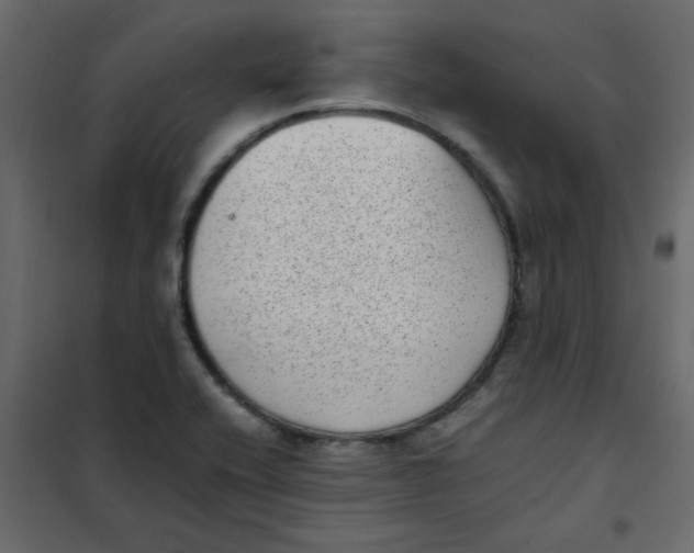 X0000101991416200808081623