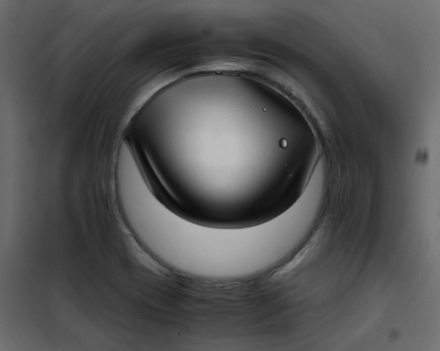 X0000101991417200808081623