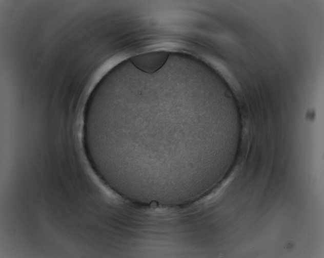 X0000101991418200808081623