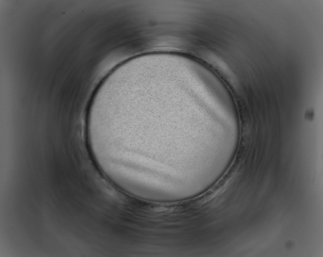 X0000101991419200808081623