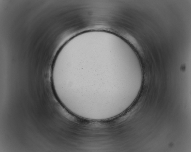 X0000101991420200808081623