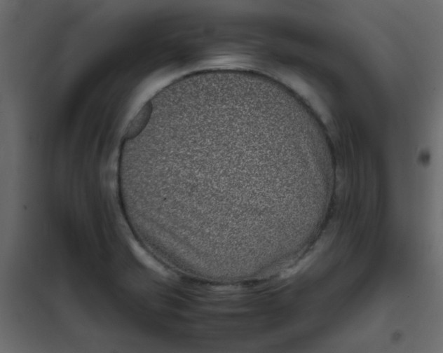 X0000101991421200808081623